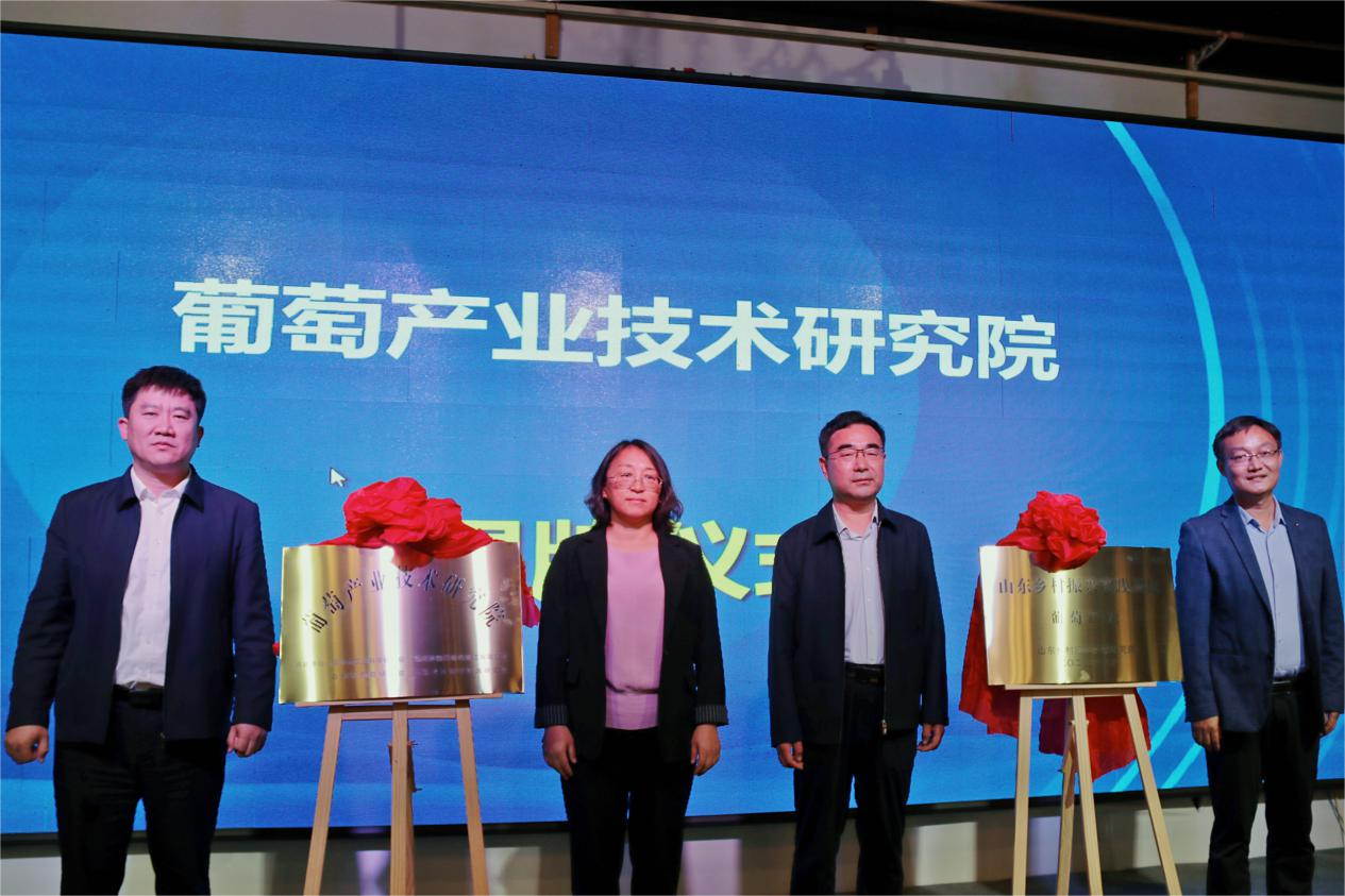 图片(3) 图片(3)